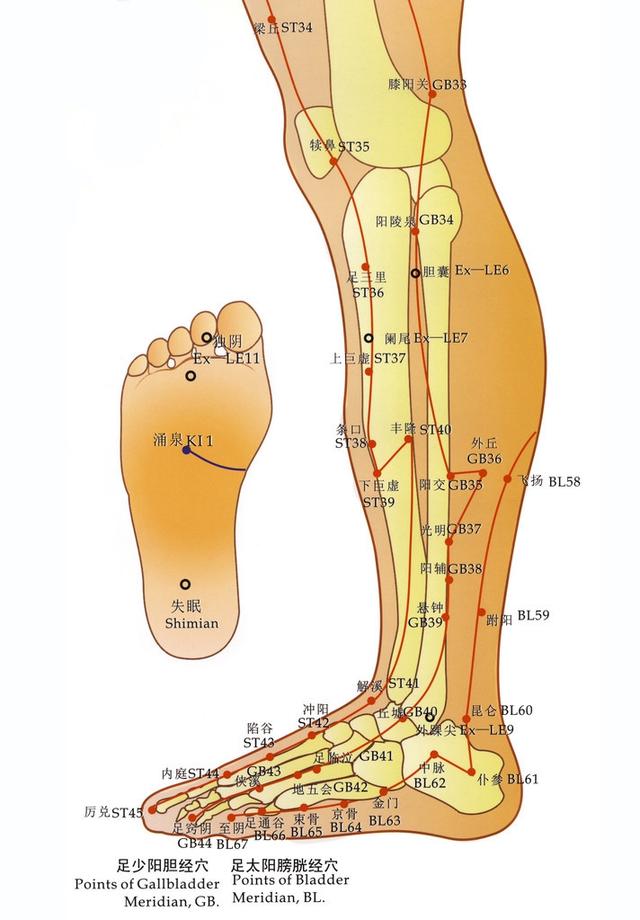 经络通百病消