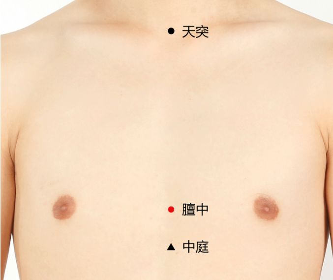 膻中穴