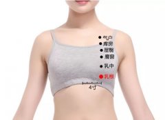艾灸治疗乳腺增生穴位图