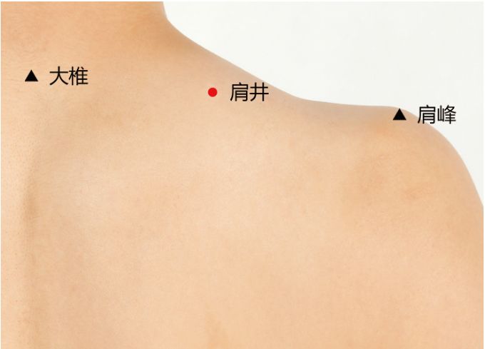 肩井穴