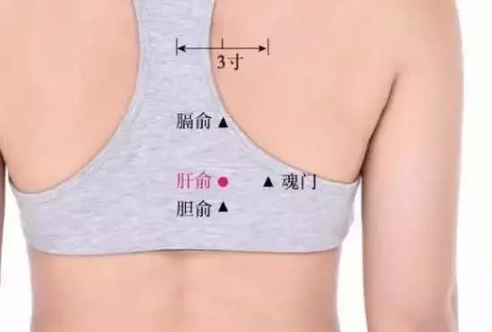 肝俞