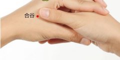 养生保健按摩六大穴位,调理身体的作用!