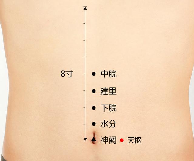 天枢穴
