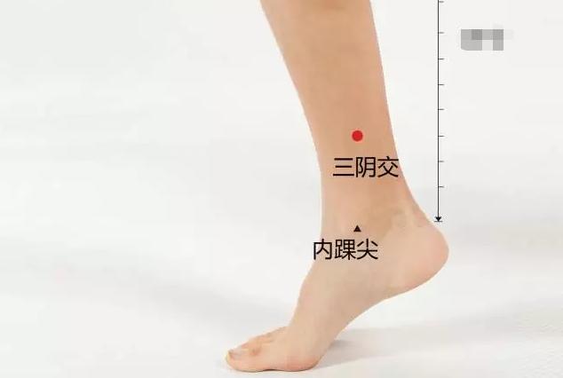 三阴交