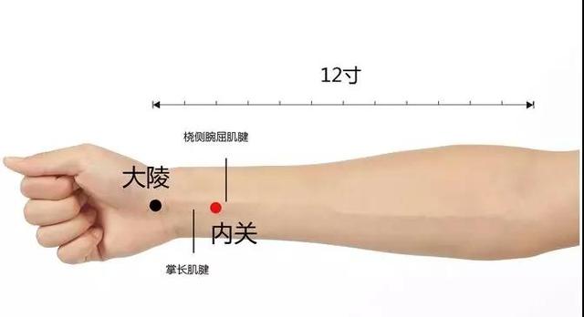 内关穴