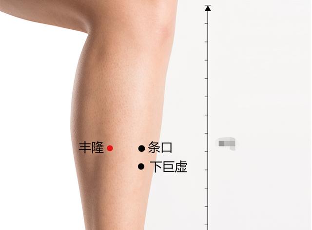 丰隆穴
