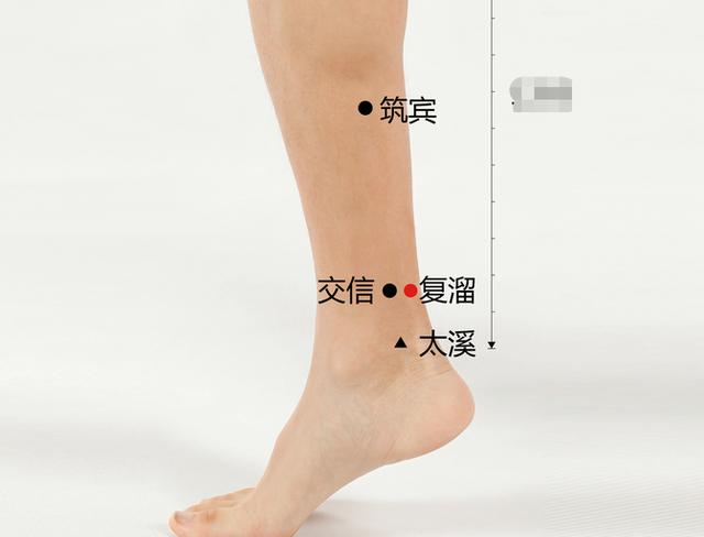 复溜穴