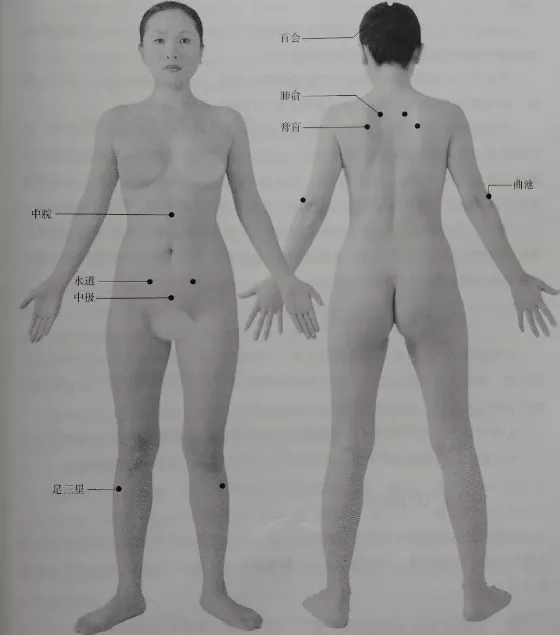 女性无极保养灸