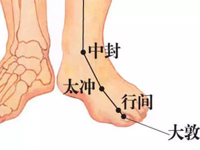 三焦经