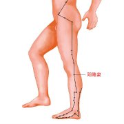 灸环跳阳陵泉穴,治疗中风后遗症!口歪眼斜用艾灸
