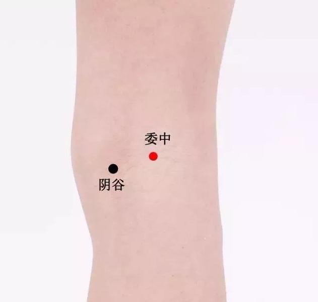 按摩或艾灸这4个穴位排出湿气!