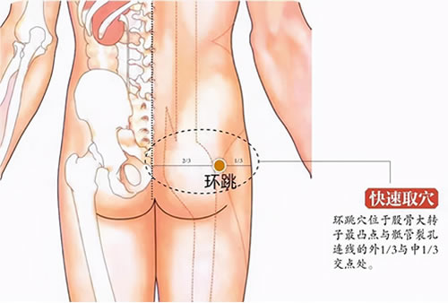 环跳穴