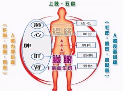 秋天灸灸肺,不愁脸蛋不美丽!