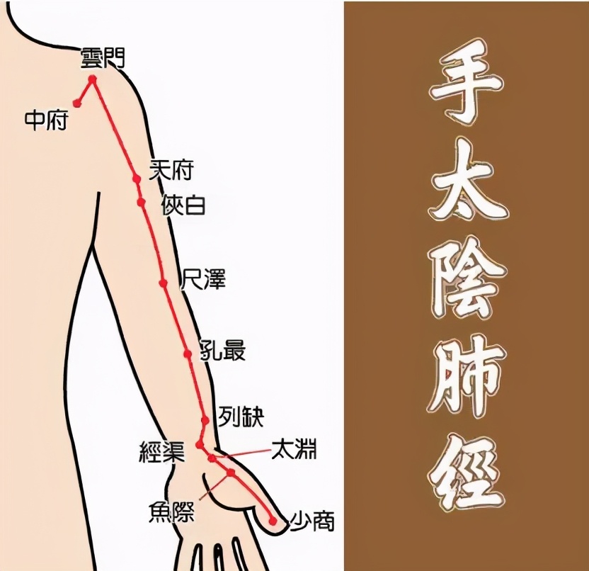 敲打肺经