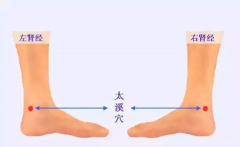 太溪穴治疗手足不温有何魔力?