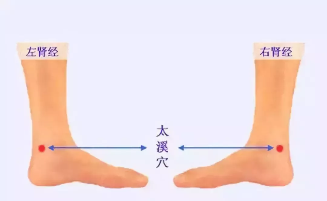 太溪穴