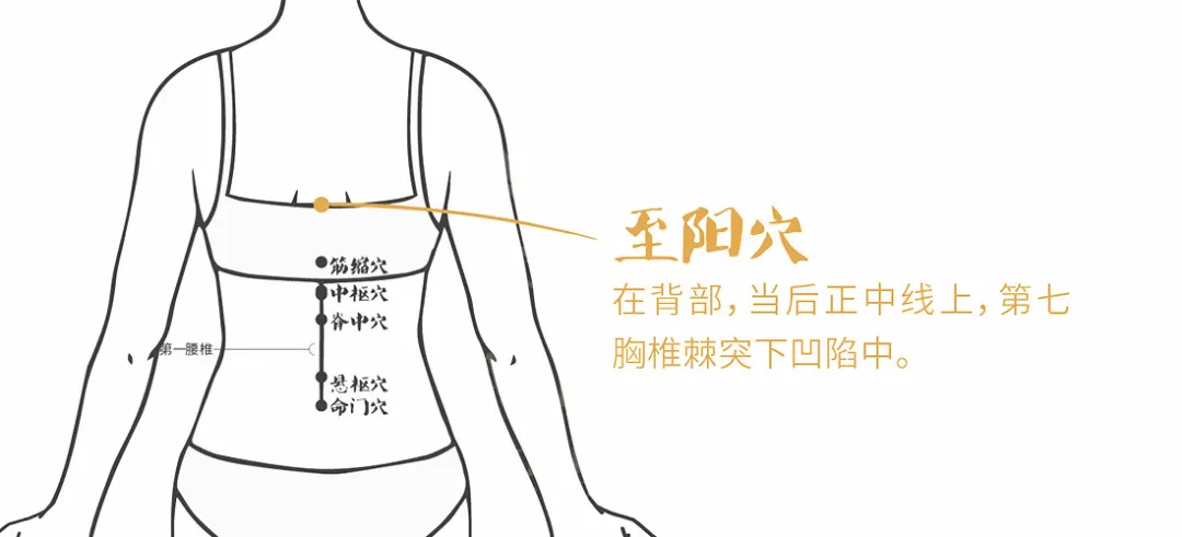 至阳