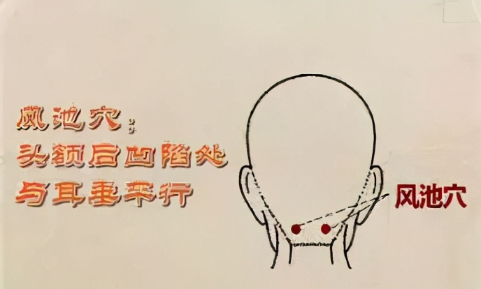 风池穴