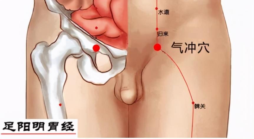 腹股沟