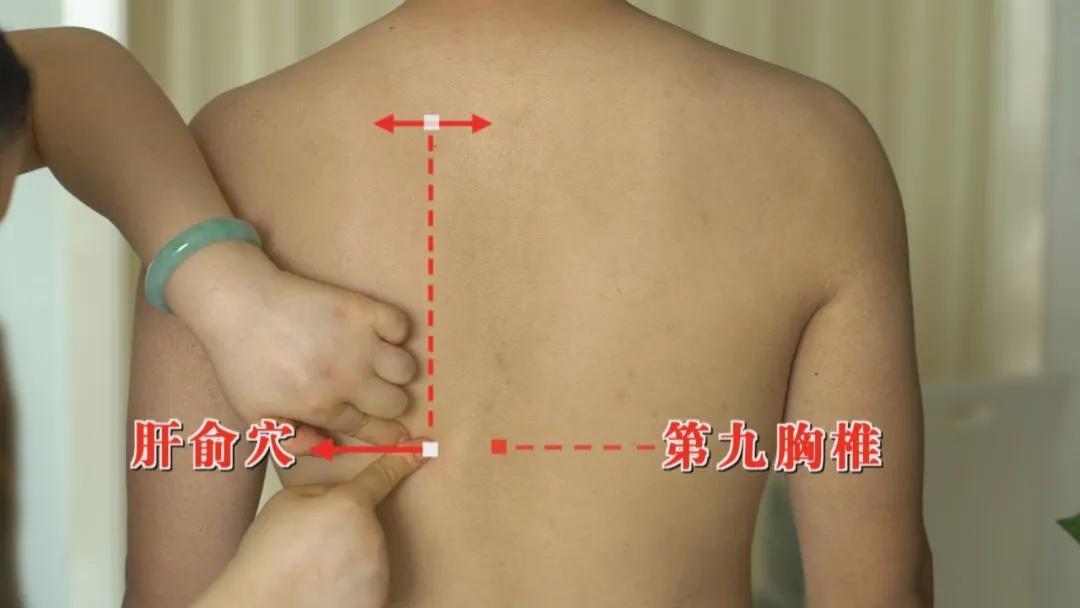 肝俞穴