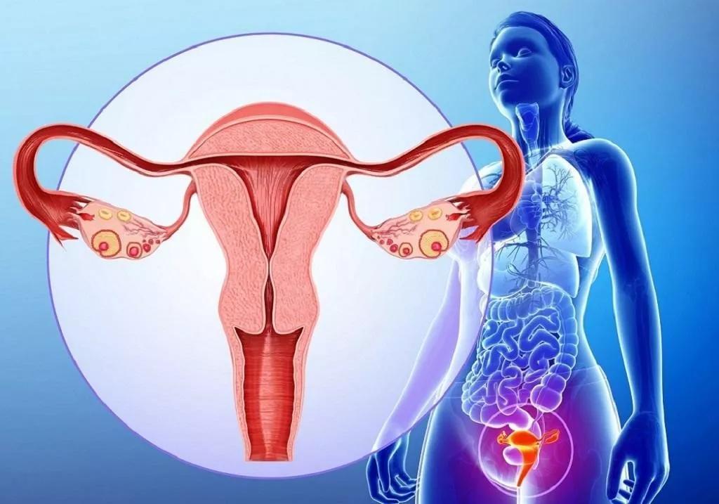 子宫肌瘤乳腺结节,一条藤结出的歪瓜,肝经一通全通!