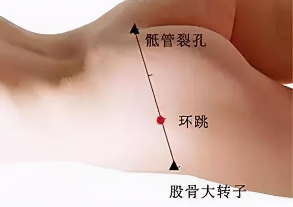 点按屁股上这个穴位,腰腿疼痛轻松解决