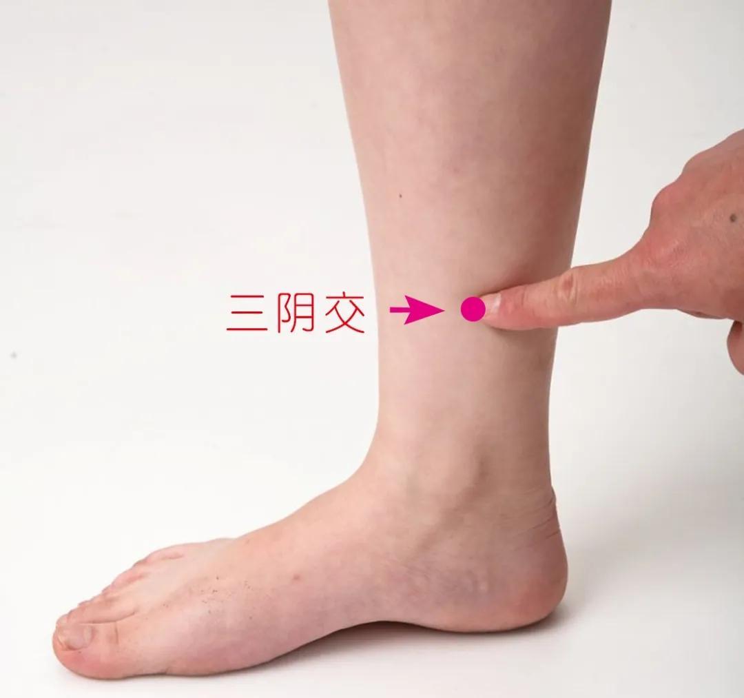 三阴交