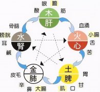 心对舌肝对目脾对口肺对鼻肾对耳,这样养五脏