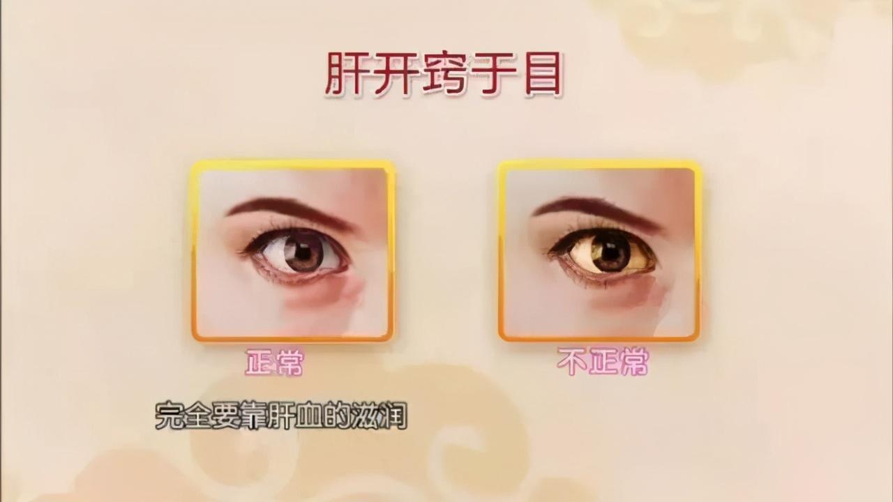 肝脏