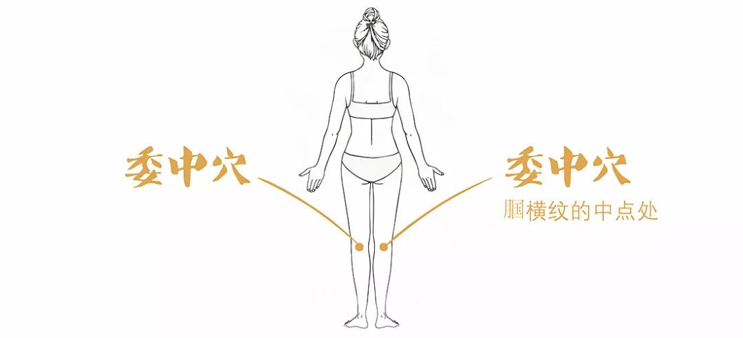 委中穴