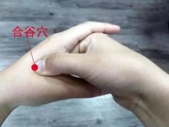 头疼艾灸熏哪些部位,四种头痛灸不同穴位