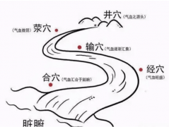 五腧穴是什么?十二经脉五腧穴有哪些穴位