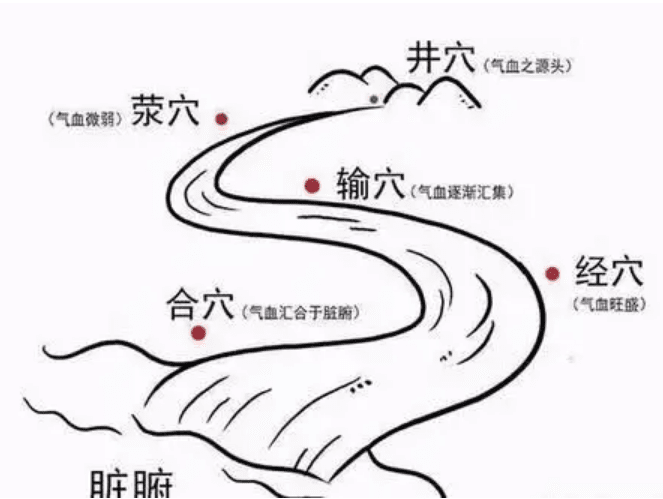 五腧穴是什么?十二经脉五腧穴有哪些穴位