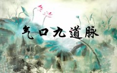 气口九道脉