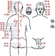 任脉督脉带脉为病